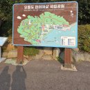 오동도 | 여수 오동도 | 동백열차 타고 본 동백꽃 후기