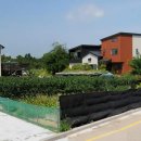 백년로옆 공원 이미지