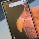 또옴 | 광주 일곡동 PT샵 【또옴】 여성전문 PT 10회차 후기 어깨 운동