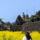 성읍민속남문상가-1 이미지