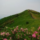 도선고 백두대간 소백산구간 안내 이미지