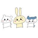 오알로 이미지