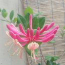 덕은상사 이미지