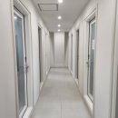 뮤라벨성인전문음악학원강남본원피아노바이올린성악 네이버블로그