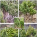 여송농장 이미지