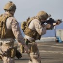 24시 모두의동물병원 이미지