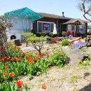 가마솥전통설렁탕 이미지