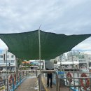 GS25 속초갯배점 이미지