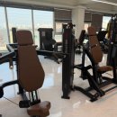 기구 많은 헬스장 찾는다면? 정발산동헬스장 더스카이짐 후기💪