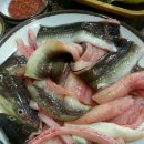 장수산곰장어