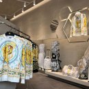 페르시안 캣 이미지