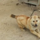 엄마와아들 이미지