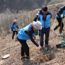 굿피플, 경북 울진 산불 피해지역에 ‘희망의 숲’을 조성 이미지