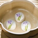 일일시호일 이미지