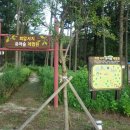 회암사지 유아숲체험원 이미지