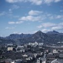 전의전쟁 이미지