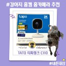 못된강아지 | TAPO 티피링크 강아지 홈캠 홈카메라 CCTV 추천 내돈내산