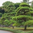 조경기능사 이미지