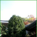 쌍계사대웅전 이미지