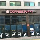 퍼피 앤 퍼피(PUPPY & PUPPY) 이미지