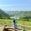 시내목장 | 뚜벅이 버스타고 춘천 해피초원목장 갔다온 후기(가는법, 목장에서 시내 오는법)