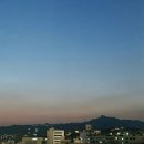 판매장입구3가(E마트입구) | 2025년 5월 일상 - 먹고 연차내고 꽃🌷받고 일하고