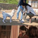 포레스트 이미지