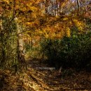 북부동 등산로 이미지