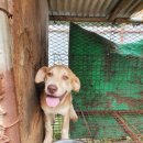 박성환농장 이미지