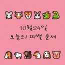 타로로 읽는 하루 이미지