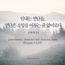 아라뜰펜션 이미지