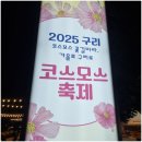 코스모스길14번길 | 구리 코스모스 축제 주차 가는길 일정 초대가수 먹거리 총정리