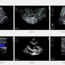 도촌동물병원 이미지