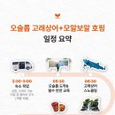 로컬페이지 네이버블로그
