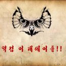 광재 Daum카페
