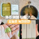 표선오일시장 | 제주 여행 힐링 코스 오늘은 녹차한잔 족욕 체험 투어패스 예약 방법