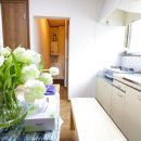 마루하우스 이미지