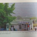 도현상회 이미지