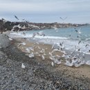 문무펜션 이미지