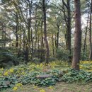 GS25용담열린점 이미지