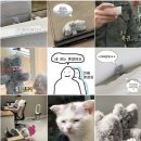 안경zip | 가방에 주렁이 주렁이 .. 키링 모음_잇자 바이브_안경 만두_기타 등등. zip