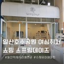 일산호수공원 가로수길 신상 볼거리 악세사리 아이머리핀 스프링데이즈 추천해요! 분명 또갈집