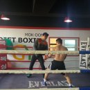 원킬복싱체육관 이미지