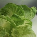 메디움천안요양병원 이미지