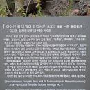 마이산 용암일대 암각서군 이미지