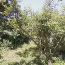 와라농장 이미지