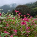 ㈜제일공영 이미지