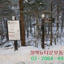오*대 이미지