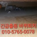 로취사이언스 네이버블로그