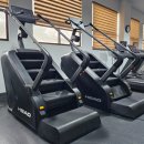 헬스마트 | 가정용 실내 자전거(사이클) 슬림형, 접이식, 일반형, 좌식형 안장 크기, 운동습관 별 비교, 대구에서...